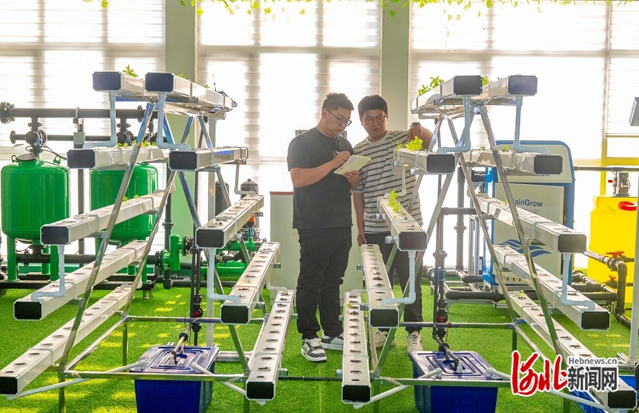近日,，在秦皇島小馬物聯(lián)網(wǎng)科技有限公司展廳，工作人員在商討如何進行產(chǎn)品優(yōu)化,。  河北日報記者 趙杰攝.jpg